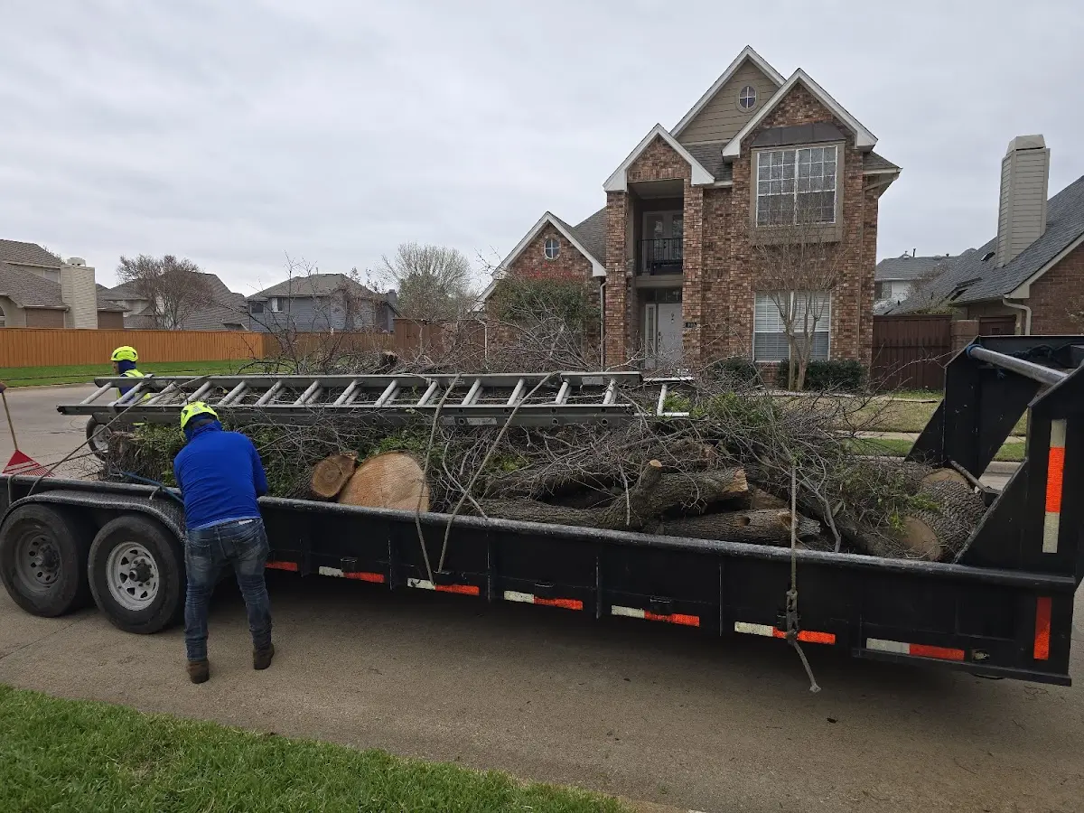 Expert Tree Removal with proper safety equipment in Houghton Lake